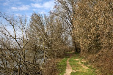 İtalya kırsalındaki bir parkta kışın sonunda çıplak ağaçlarla çevrili bir gölün kıyısındaki toprak patika.
