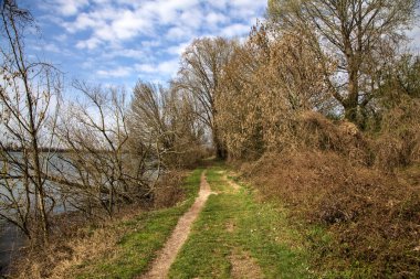 İtalya kırsalındaki bir parkta kışın sonunda çıplak ağaçlarla çevrili bir gölün kıyısındaki toprak patika.