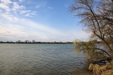 Kışın sonlarında açık bir günde kıyıda ağaçsız bir göl.