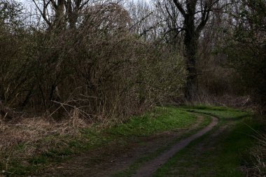 Kışın sonlarında bir İtalyan kasabasının yanındaki bir ormanlık alanda toprak yol.