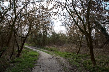 Kışın sonlarında bir İtalyan kasabasının yanındaki bir ormanlık alanda toprak yol.