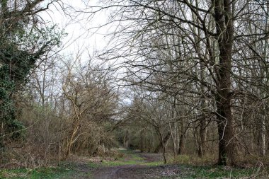 Kışın sonlarında bir İtalyan kasabasının yanındaki bir ormanlık alanda toprak yol.