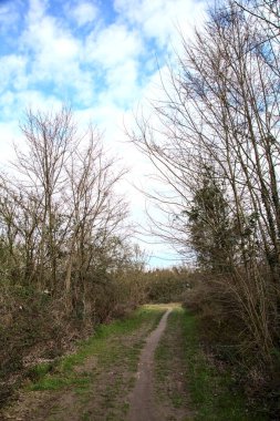Kışın sonlarında bir İtalyan kasabasının yanındaki bir ormanlık alanda toprak yol.