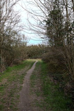 Kışın sonlarında bir İtalyan kasabasının yanındaki bir ormanlık alanda toprak yol.