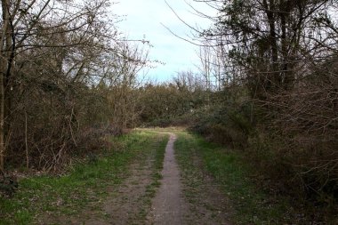 Kışın sonlarında bir İtalyan kasabasının yanındaki bir ormanlık alanda toprak yol.