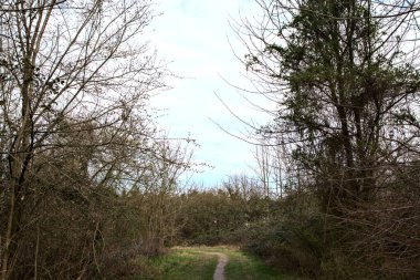Kışın sonlarında bir İtalyan kasabasının yanındaki bir ormanlık alanda toprak yol.
