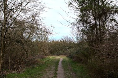 Kışın sonlarında bir İtalyan kasabasının yanındaki bir ormanlık alanda toprak yol.