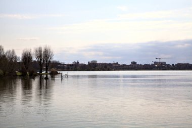Bulutlu bir günde, kışın sonlarında uzaktan görülen çıplak ağaçlarla dolu bir gölün kıyısında.