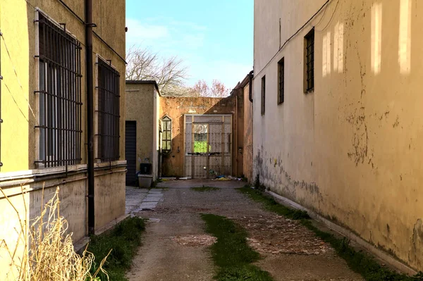 Gravel path in a garden that leads to a gate with broken glasses