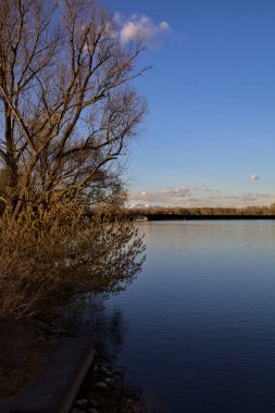 Gün batımında bir gölün kıyısında, arkasında ağaçlar ve dağlar var.