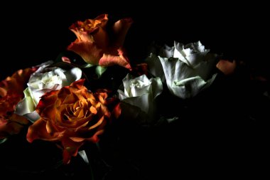 Siyah arka planda turuncu ve beyaz güller.