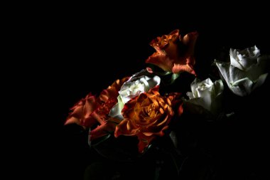 Siyah arka planda turuncu ve beyaz güller.