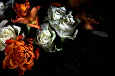 Siyah arka planda turuncu ve beyaz güller.