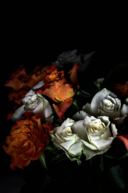 Siyah arka planda turuncu ve beyaz güller.
