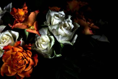 Siyah arka planda turuncu ve beyaz güller.