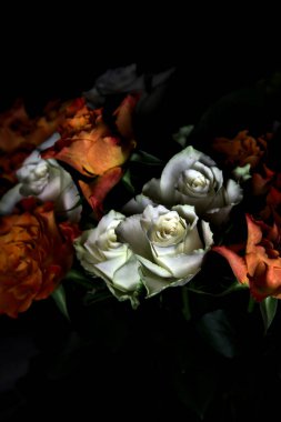 Siyah arka planda turuncu ve beyaz güller.