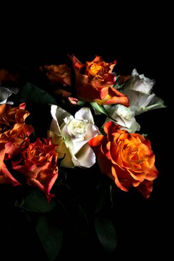 Siyah arka planda turuncu ve beyaz güller.