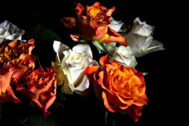 Siyah arka planda turuncu ve beyaz güller.