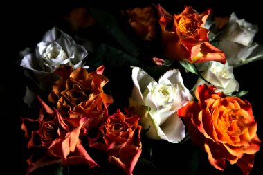 Siyah arka planda turuncu ve beyaz güller.