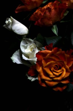 Siyah arka planda turuncu ve beyaz güller.