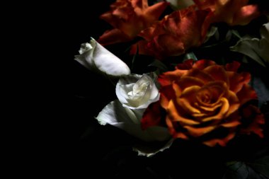 Siyah arka planda turuncu ve beyaz güller.