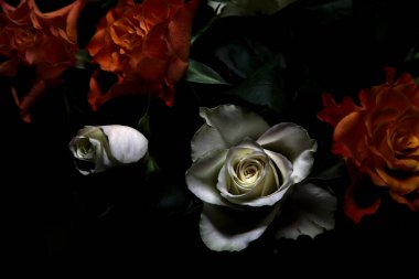 Siyah arka planda turuncu ve beyaz güller.