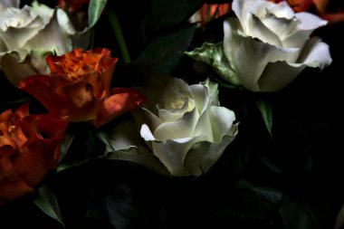 Siyah arka planda turuncu ve beyaz güller.