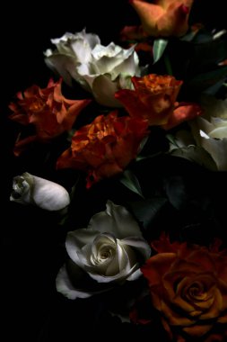Siyah arka planda turuncu ve beyaz güller.