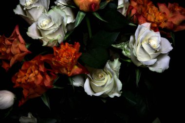 Siyah arka planda turuncu ve beyaz güller.