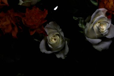 Siyah arka planda turuncu ve beyaz güller.