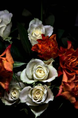 Siyah arka planda turuncu ve beyaz güller.