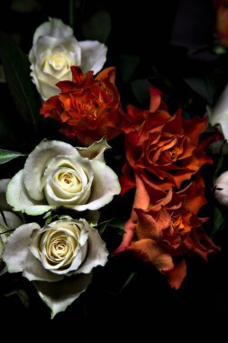 Siyah arka planda turuncu ve beyaz güller.