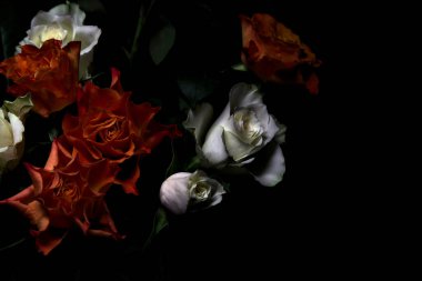 Siyah arka planda turuncu ve beyaz güller.