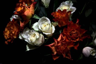 Siyah arka planda turuncu ve beyaz güller.