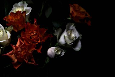 Siyah arka planda turuncu ve beyaz güller.