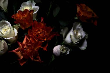 Siyah arka planda turuncu ve beyaz güller.