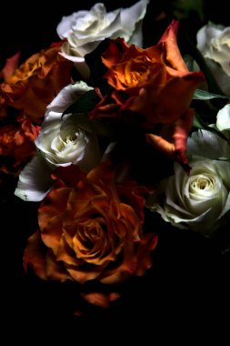 Siyah arka planda turuncu ve beyaz güller.
