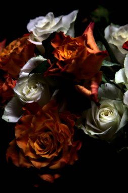 Siyah arka planda turuncu ve beyaz güller.