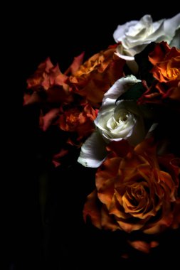 Siyah arka planda turuncu ve beyaz güller.