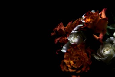 Siyah arka planda turuncu ve beyaz güller.