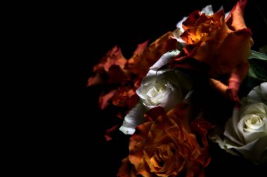 Siyah arka planda turuncu ve beyaz güller.