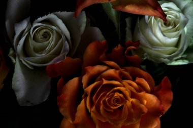 Siyah arka planda turuncu ve beyaz güller.