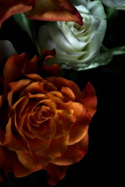 Siyah arka planda turuncu ve beyaz güller.