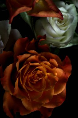 Siyah arka planda turuncu ve beyaz güller.