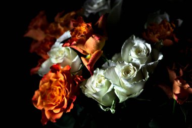 Siyah arka planda turuncu ve beyaz güller.