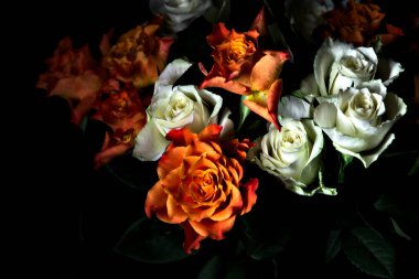 Siyah arka planda turuncu ve beyaz güller.