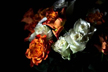 Siyah arka planda turuncu ve beyaz güller.