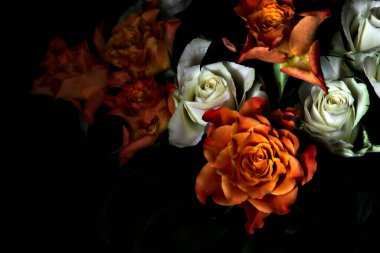 Siyah arka planda turuncu ve beyaz güller.