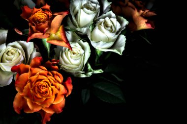 Siyah arka planda turuncu ve beyaz güller.