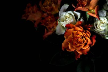 Siyah arka planda turuncu ve beyaz güller.